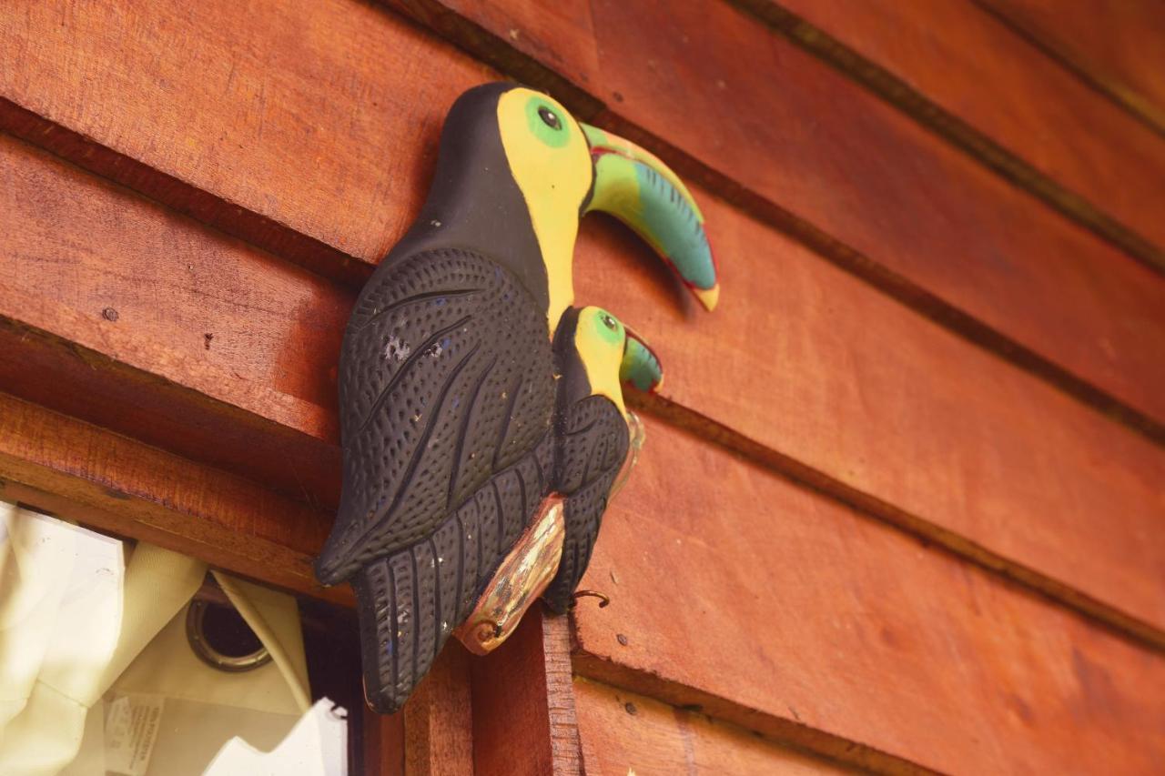 Tres Equis Pacuare Mountain Lodge מראה חיצוני תמונה